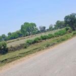 विशेष रिपोर्ट , RTI की दस्तक से बढ़ी हलचल: कौशांबी में भूमि उपयोग परिवर्तन पर बड़ा खुलासा संभव