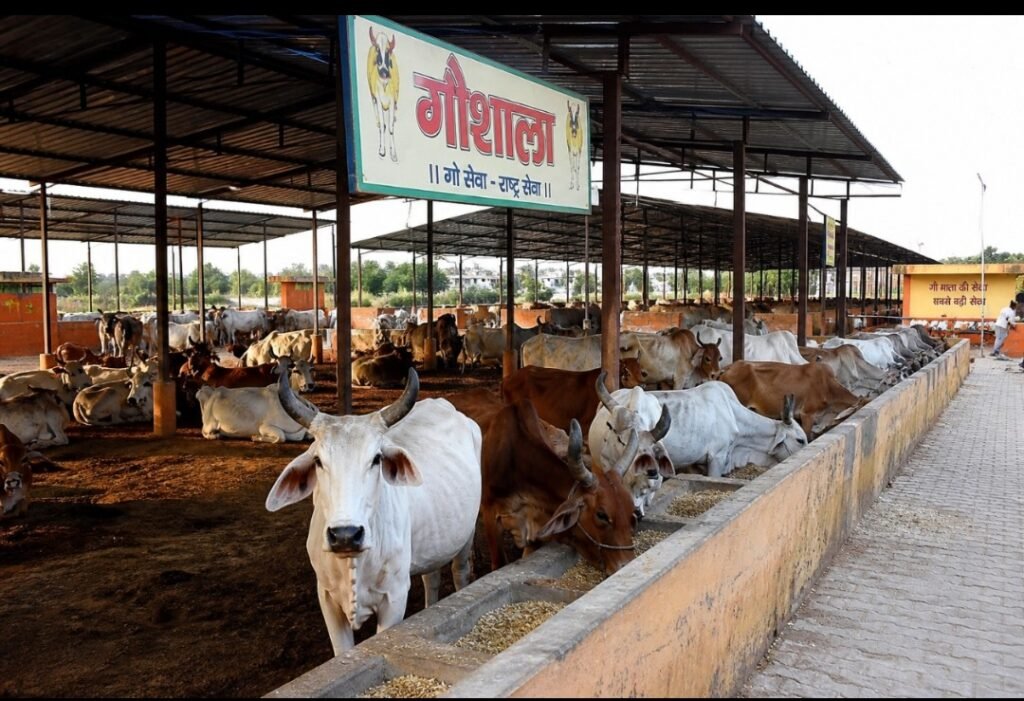 Kaushambi voice
