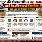 चित्रकूट की गौशालाओं पर बड़ा सवाल: खाली शेड, लेकिन कागजों में भरे गौवंश!