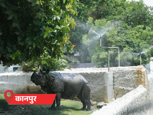 यूपी में भीषण गर्मी, बाघिन पूल में दिन काट रही:गैंडे के लिए स्प्रिंकलर लगाए; 31 शहरों में लू का अलर्ट, बांदा देश में सबसे गर्म