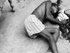 परिवार के 3 लोगों की हत्या, इनमें 2 महिलाएं:प्रयागराज में दौड़ा-दौड़ाकर मारा, घर के अंदर से बाहर तक पड़ी थीं लाशें