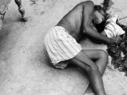 परिवार के 3 लोगों की हत्या, इनमें 2 महिलाएं:प्रयागराज में दौड़ा-दौड़ाकर मारा, घर के अंदर से बाहर तक पड़ी थीं लाशें