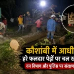 कौशांबी में हरे पेड़ों का अवैध कटान! आधी रात चल रहा आरा, वन विभाग और पुलिस पर उठे सवाल