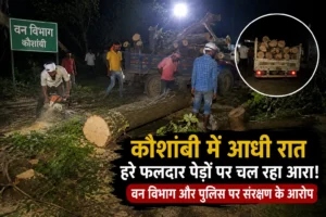 कौशांबी में हरे पेड़ों का अवैध कटान! आधी रात चल रहा आरा, वन विभाग और पुलिस पर उठे सवाल