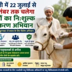 कौशांबी में 22 जुलाई से 8 सितंबर तक चलेगा पशुओं का निःशुल्क टीकाकरण अभियान, FMD से बचाव के लिए विभाग की अपील