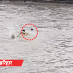मेरठ का कांवड़िया गंगा में बहा, जवान ने बचाया; VIDEO:बलिया में 2 मकान सरयू में समाए, 41 शहरों में बारिश का अलर्ट