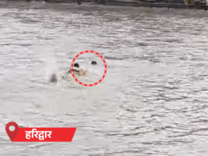 मेरठ का कांवड़िया गंगा में बहा, जवान ने बचाया; VIDEO:बलिया में 2 मकान सरयू में समाए, 41 शहरों में बारिश का अलर्ट