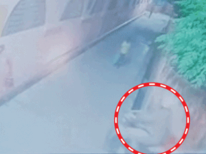 हॉस्पिटल में खाना देने आई 10 साल की लड़की गायब:गोरखपुर में बहन बोली- पुलिस की वर्दी में बाइक पर बैठा कर आरोपी ले गया