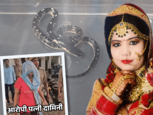 मेरठ की दामिनी बोली-पति को सांप डसवाने का गम नहीं:उसका अफेयर था, रोकने पर पीटता, इसलिए वैन ड्राइवर से दोस्ती की