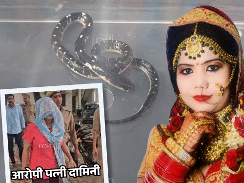 मेरठ की दामिनी बोली-पति को सांप डसवाने का गम नहीं:उसका अफेयर था, रोकने पर पीटता, इसलिए वैन ड्राइवर से दोस्ती की