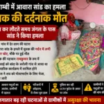 आवारा सांड का आतंक: शौच कर लौट रहे युवक पर हमला, गर्दन में गंभीर चोट लगने से दर्दनाक मौत