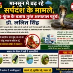 मानसून में बढ़ रहे सर्पदंश के मामले, झाड़-फूंक के बजाय तुरंत अस्पताल पहुंचें: डॉ. ललित सिंह