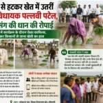 राजनीति से हटकर खेत में उतरीं सिराथू विधायक पल्लवी पटेल, किसानों संग की धान की रोपाई