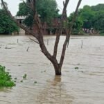 Kaushambi voice