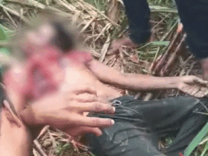 तेंदुए ने दांतों से काटकर युवक की गर्दन अलग की:सीना खा गया, सोते वक्त घर से खींच ले गया; 25 दिन में 4 को मार चुका