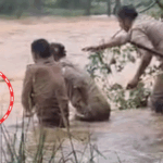 यूपी में वाटरफॉल में अचानक बढ़ा पानी, 3 पर्यटक फंसे:3 घंटे पत्थर पर बैठे रहे, रस्सी फेंककर बचाया; चित्रकूट में 2 दिन स्कूल बंद