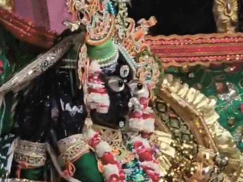 1000 किलो सोने-चांदी के सिंहासन पर विराजे बांके बिहारी:हरे रंग के वस्त्र धारण किए हैं, हरियाली तीज पर 8 लाख भक्त मथुरा पहुंचेंगे