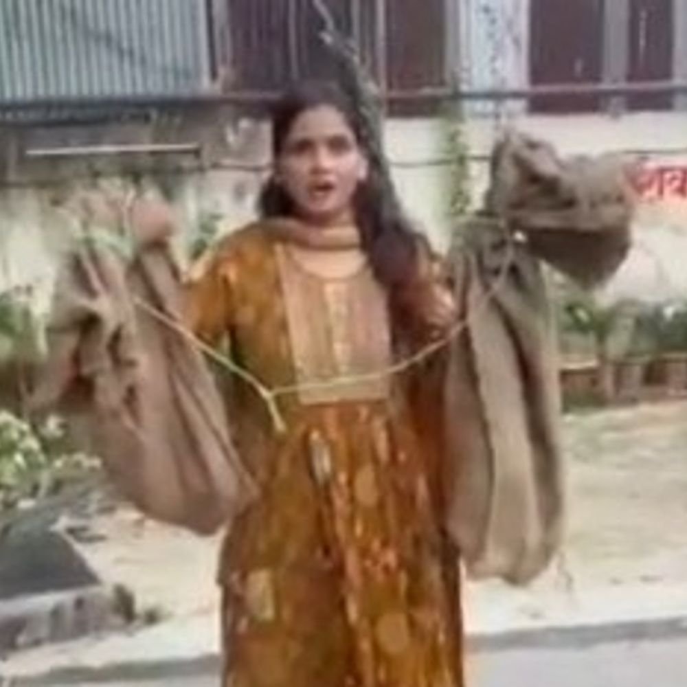 लखनऊ में बिल्लियों को बोरे में भरकर फेंका:लंगूर को खंभे से बांधा, एनजीओ ने किया रेस्क्यू; मुकदमा दर्ज करने की मांग