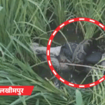 नहर में डूब रहे युवक को सिपाही ने बचाया, VIDEO:लखीमपुर में अजगर ने मोर को निगला, 56 जिलों में बारिश का अलर्ट