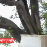 लखीमपुर में पेड़ नदी में समाया, चौकी में घुसा सांप:बलिया में गड्‌ढे में पलटा ई-रिक्शा, 19 जिलों में बारिश का अलर्ट