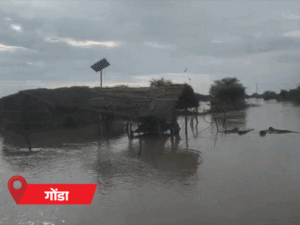 यूपी के 31 जिलों में बारिश का अलर्ट:20 बीघा जमीन नदी में समाई; अस्पताल में कोबरा निकला, नहर में बहा युवक