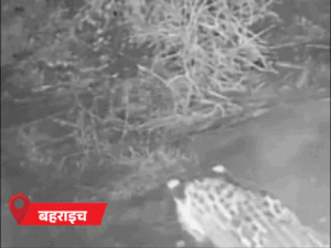 यूपी से 3 दिन बाद लौटेगा मानसून:सीतापुर में पुल डूबा, घुटने तक पानी में स्कूल जा रहे बच्चे; गोंडा में 500 बीघा जमीन नदी में समाई