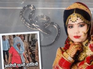 मेरठ सांप कांड-जज ने फैसले में 4 बड़ी हत्याएं गिनाईं:दामिनी, इल्मा, सोनम, सिया का नाम लिया; जानिए कौन हैं ये लड़कियां