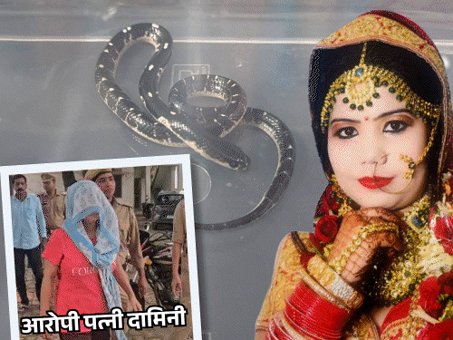 मेरठ सांप कांड-जज ने फैसले में 4 बड़ी हत्याएं गिनाईं:दामिनी, इल्मा, सोनम, सिया का नाम लिया; जानिए कौन हैं ये लड़कियां