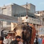 महिला की अंतिम यात्रा में साथ चले दो पालतू हाथी:संभल में 12 गांव से डेढ़ हजार लोग पहुंचे, बेटा बोला- दोनों गुमसुम हैं