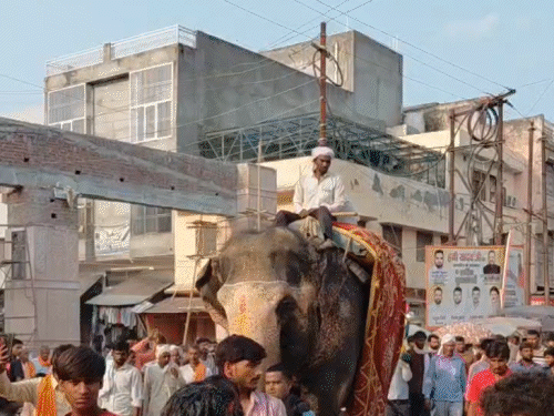 महिला की अंतिम यात्रा में साथ चले दो पालतू हाथी:संभल में 12 गांव से डेढ़ हजार लोग पहुंचे, बेटा बोला- दोनों गुमसुम हैं
